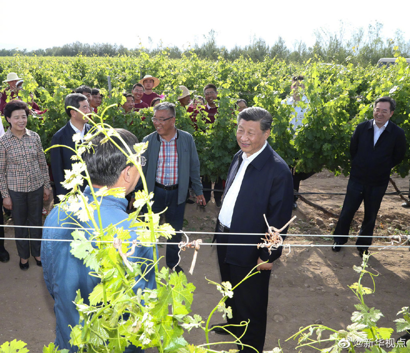 習(xí)近平在銀川考察調(diào)研08.jpg 習(xí)近平在銀川考察調(diào)研08.jpg